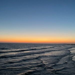 Meet your Posher, Alannah